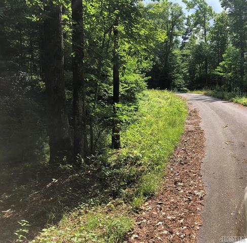 00 Windy Gap Lane - Photo 1