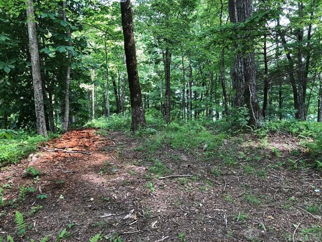 TBD Windy Gap Lane - Photo 1