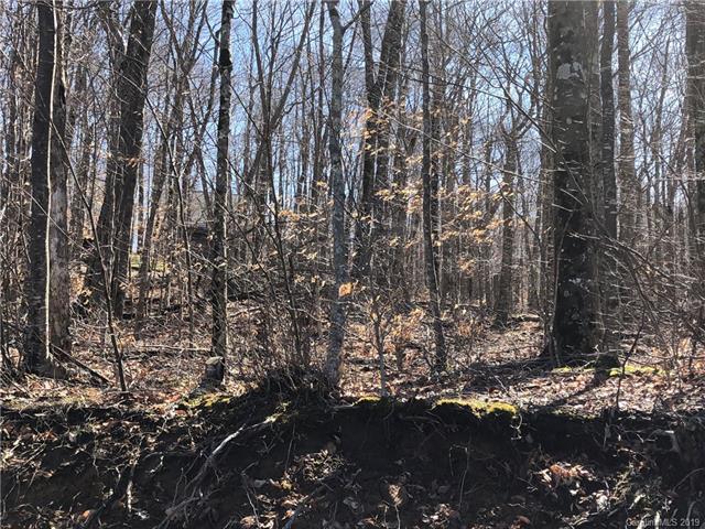 55 Bee Tree Lane - Photo 1