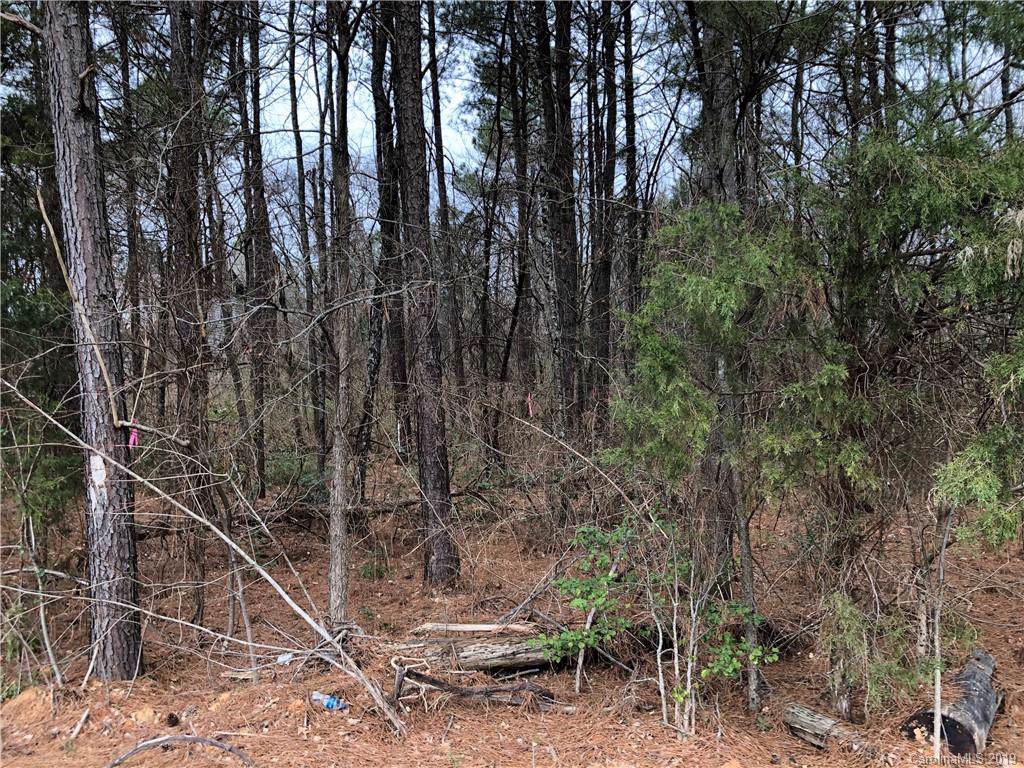 6130 Old Salisbury Road - Photo 1