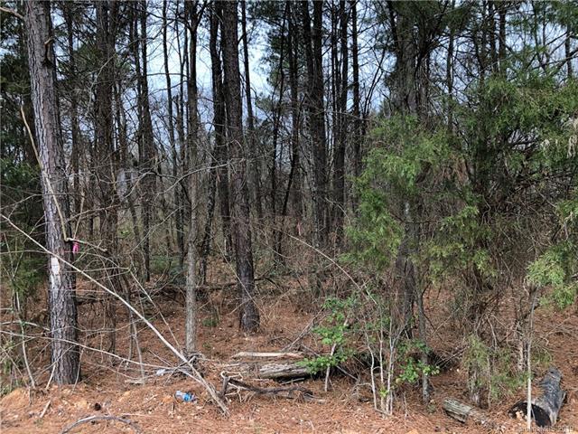 6130 Old Salisbury Road - Photo 1