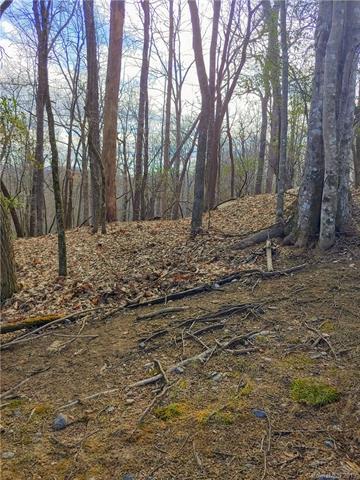 Lot 85 Guledisgonihi Court - Photo 1