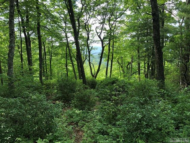 TBD Windy Gap Lane - Photo 1