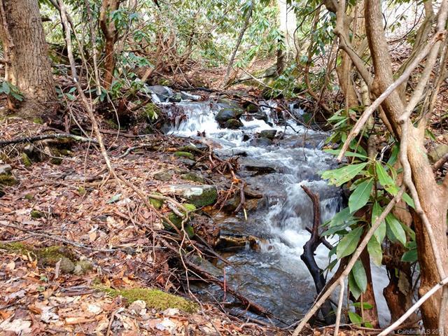 Lot 19 Quail Cove Road - Photo 1
