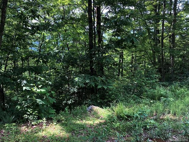 TBD Black Bear Court - Photo 1
