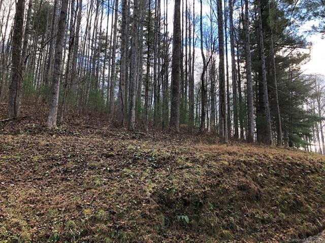 00 Gobbler Ridge Road - Photo 1