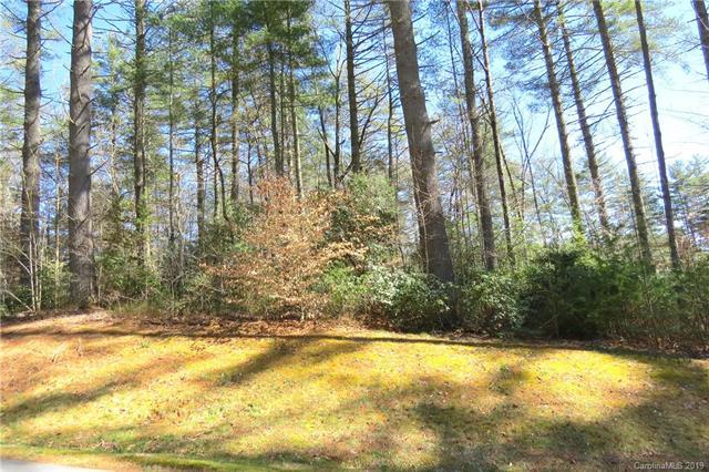 L2 Mountain Brook Trail - Photo 1