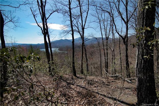 0 Hawks Nest Trail - Photo 1