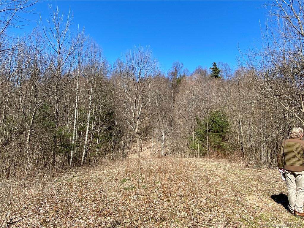 TBD Cutshall Town Road - Photo 1