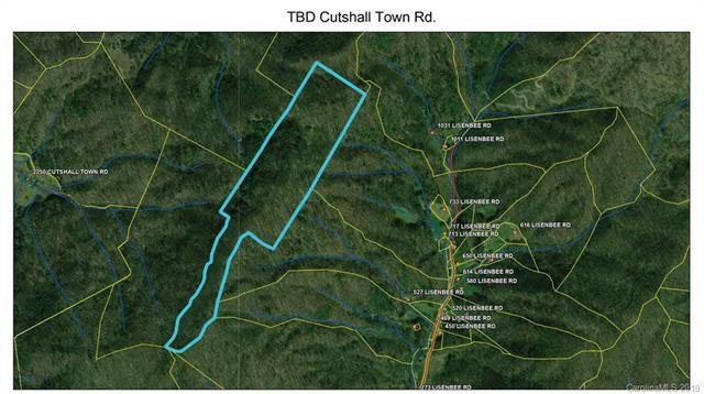 TBD Cutshall Town Road - Photo 1