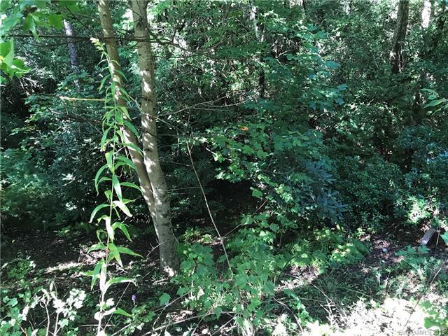 tbd Cold Mountain Road - Photo 1
