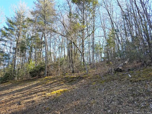 Lot 26 Clearwater Lane - Photo 1