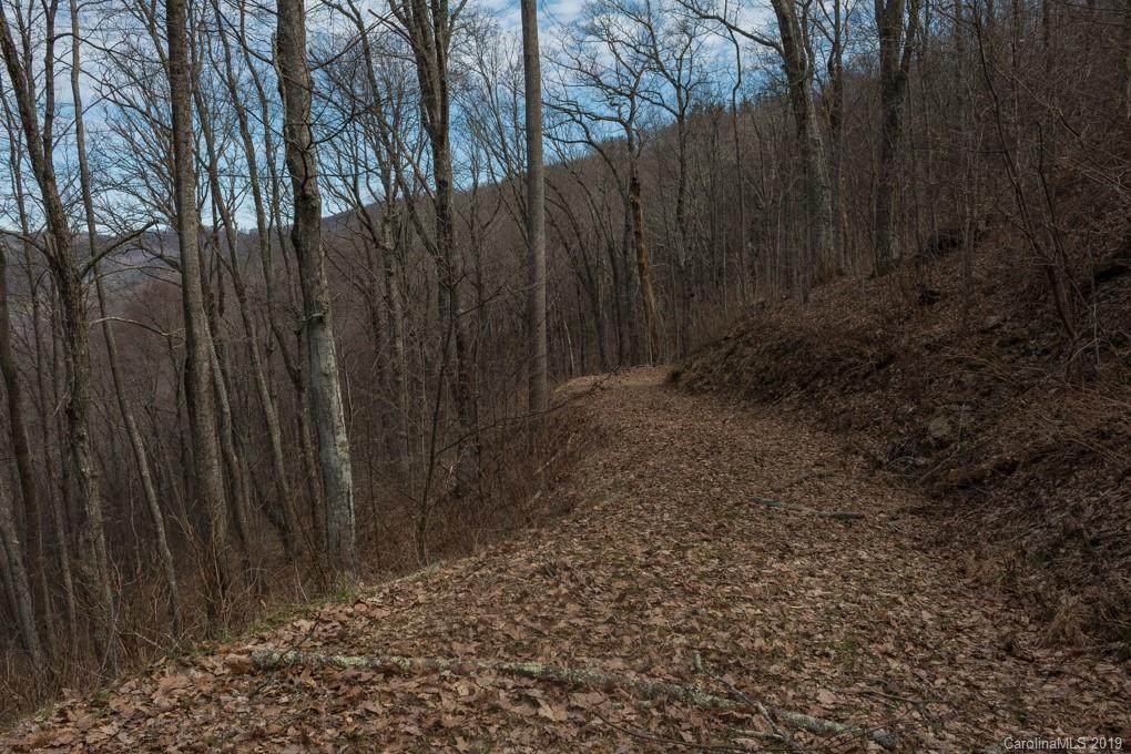 31 Mt Meadows Boulevard - Photo 1