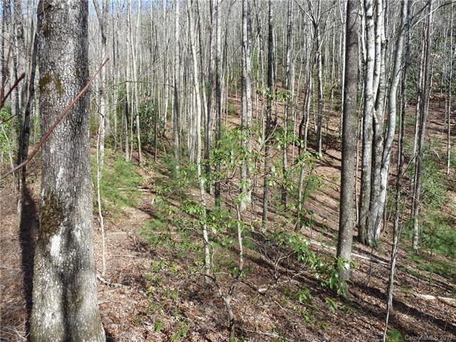 Off Old Toxaway Road - Photo 1