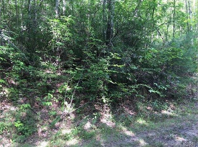 58 Lost Panther Road - Photo 1