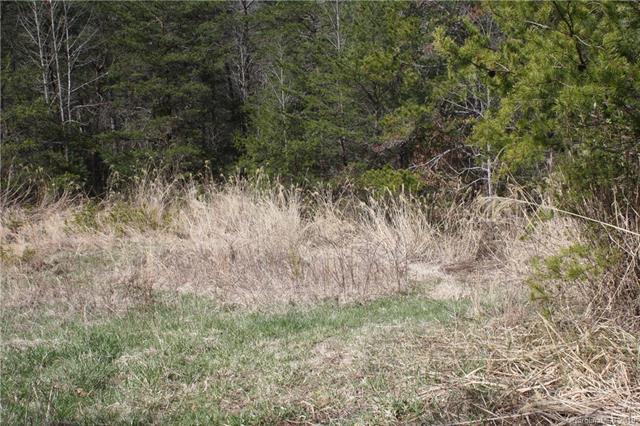 000 Chandler Branch Road - Photo 1
