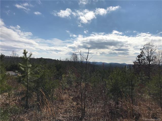 Lot #7 Off Dysartsville Road - Photo 1
