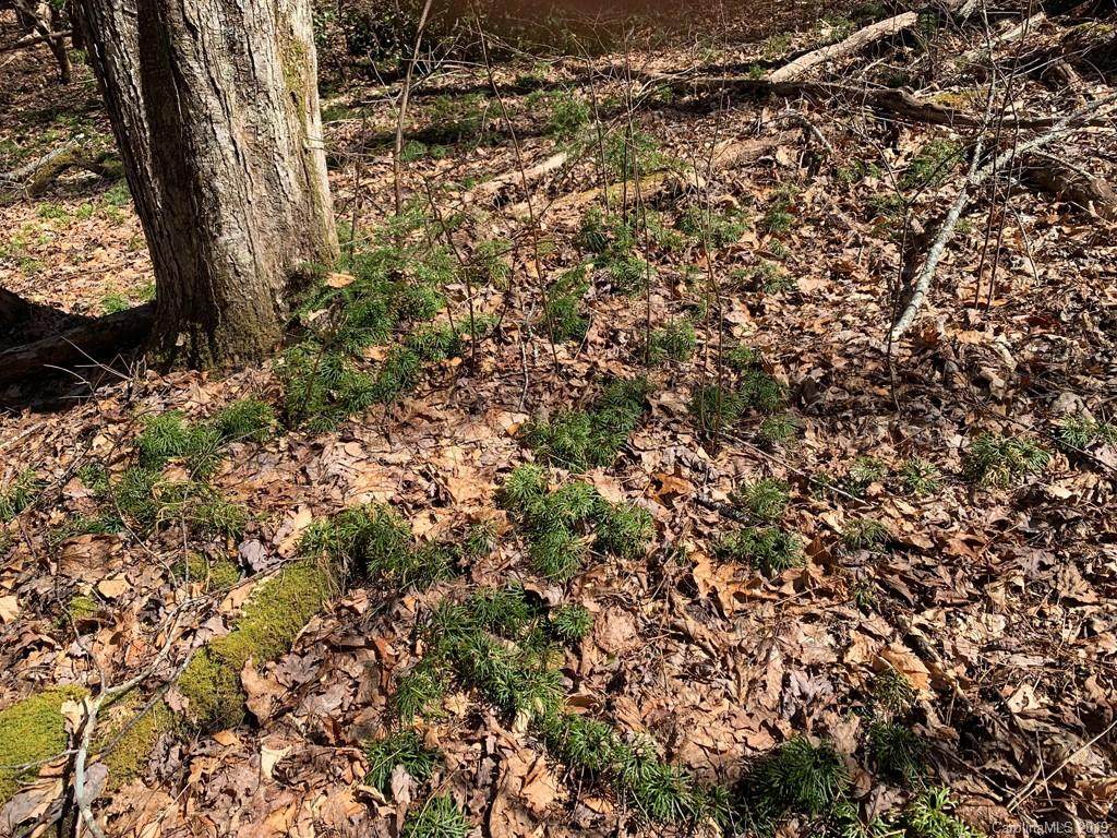 00 Steel Creek Road - Photo 1