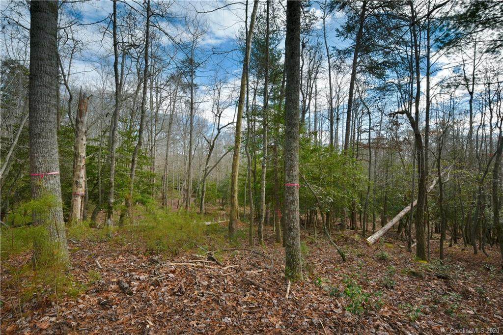133 Walnut Valley Parkway - Photo 1
