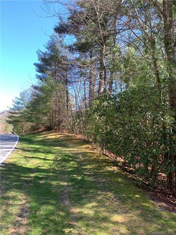 145 Chattooga Run - Photo 1