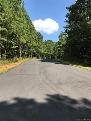 2614 Summerville Church Road - Photo 1