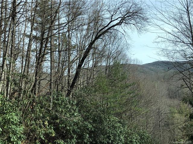 TBD Holly Road - Photo 1