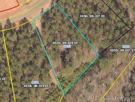 6033 Chimney Bluff Road - Photo 1