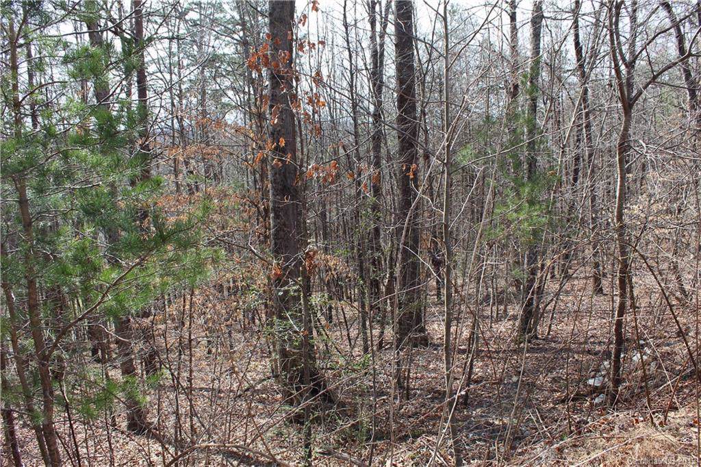 Lot 14 Woodchuck Lane - Photo 1