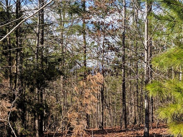 0 Cross Ridge Drive - Photo 1
