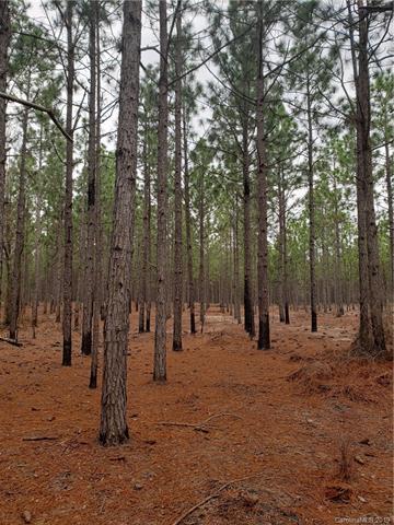 1 Sc Hwy 102 Highway - Photo 1