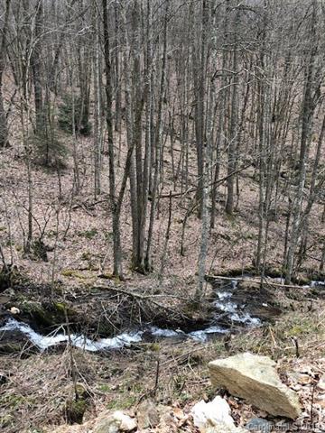 1560 & 1577 Amos Creek Road - Photo 1