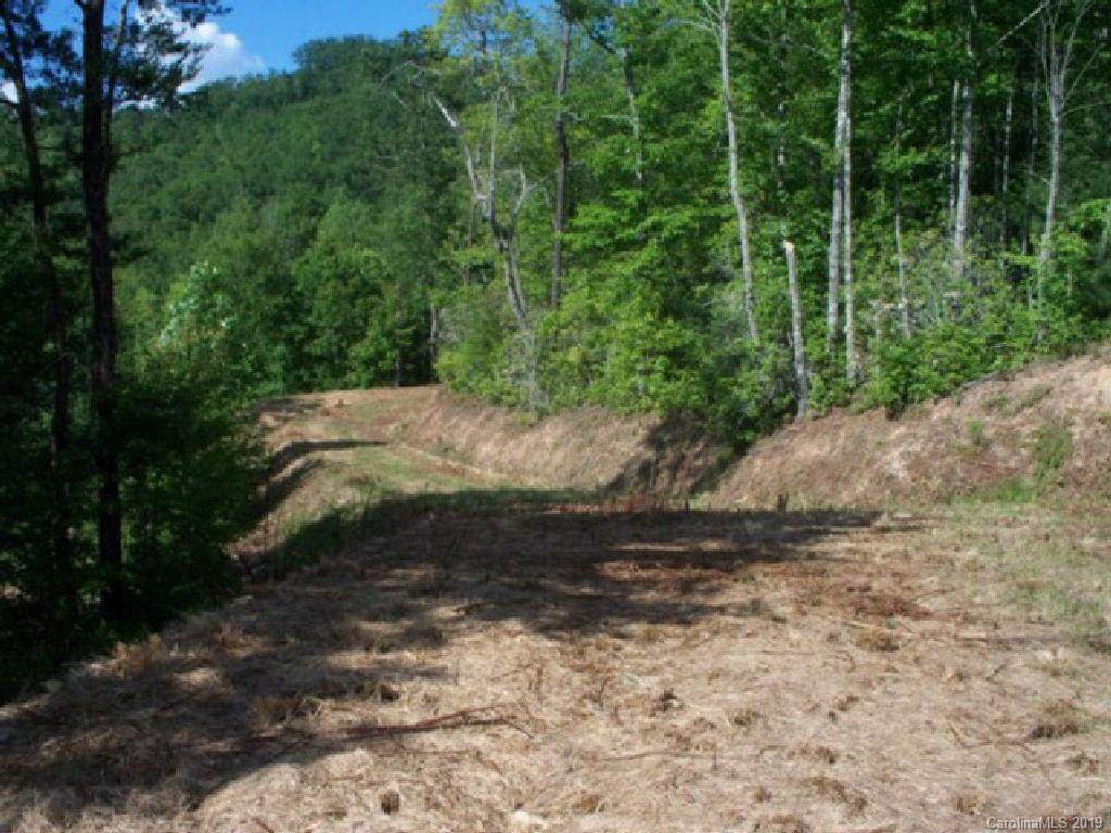 53-a Fontana Lake Drive - Photo 1