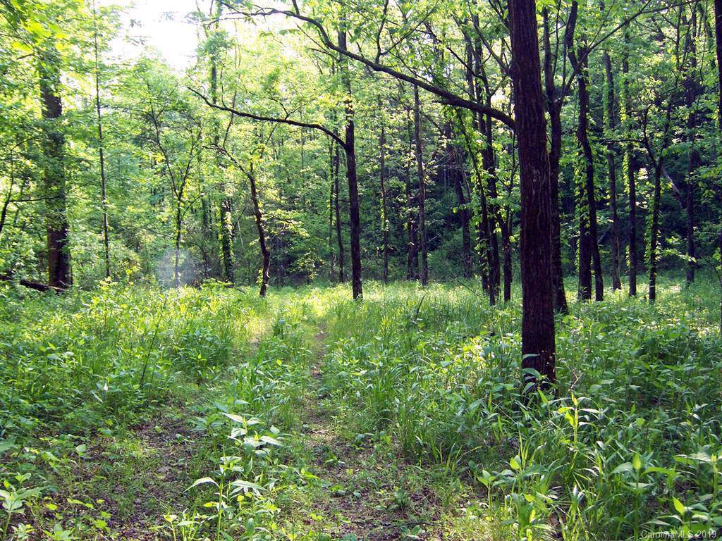 81-1(1) Fontana Lake Drive - Photo 1