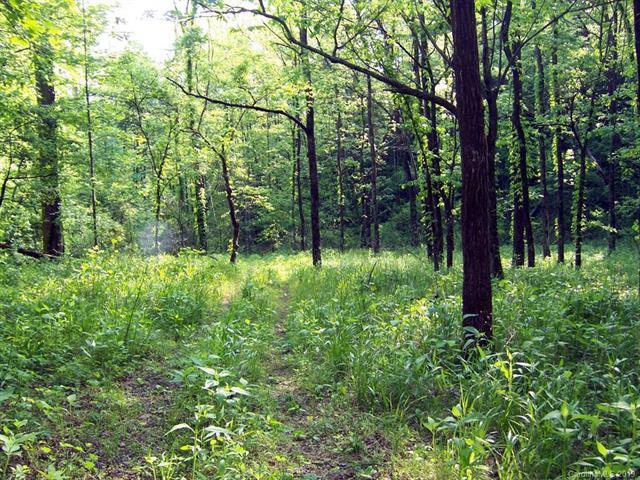 81-1(1) Fontana Lake Drive - Photo 1