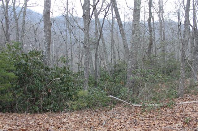 00 Kelly Springs Road - Photo 1
