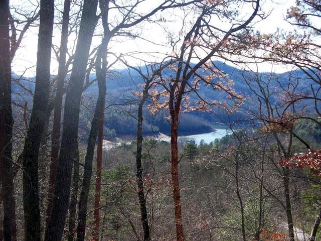 98-2 Wild Orchid Trail - Photo 1