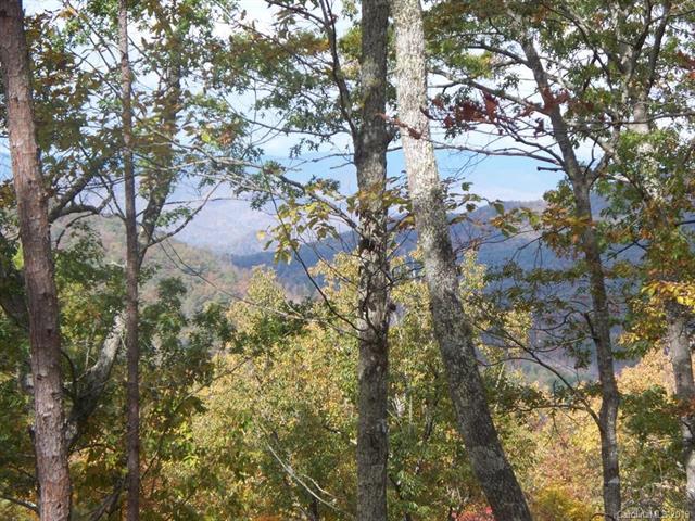 44-1 Turkey Path - Photo 1