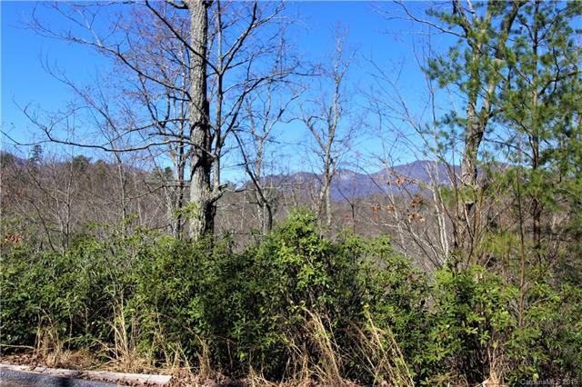0 Silver Tree Drive - Photo 1