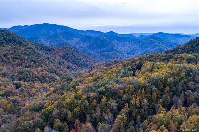 Lot #2 Brasstown Road - Photo 1