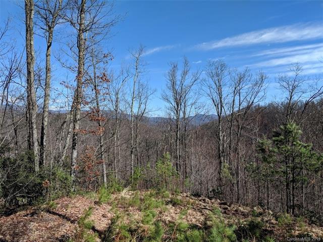 Lot CC-11 169 Verbena Lane - Photo 1