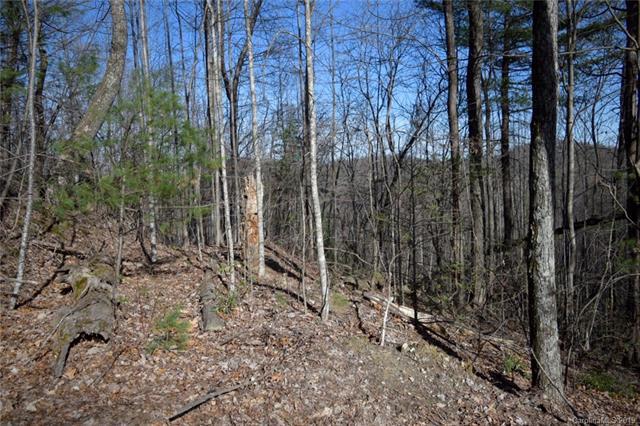 78 Long Ridge Trail - Photo 1
