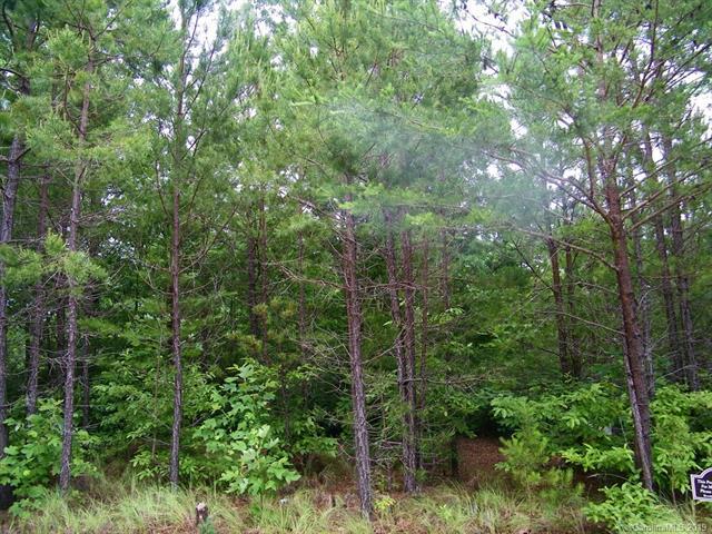 LOT 22 Highland Heights Drive - Photo 1