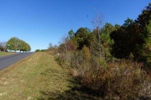 221 Rivercliff Drive - Photo 1