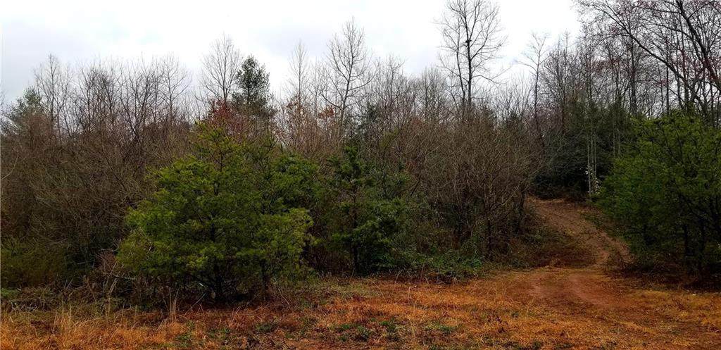 Tract 3 Canoe Lane - Photo 1