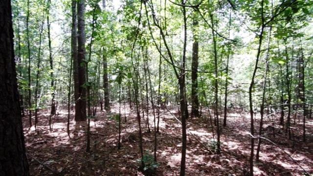 2049 Lighthouse Lane - Photo 1