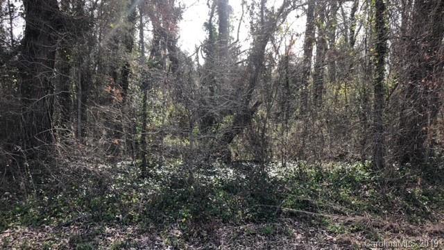 00 Pinkney Road - Photo 1