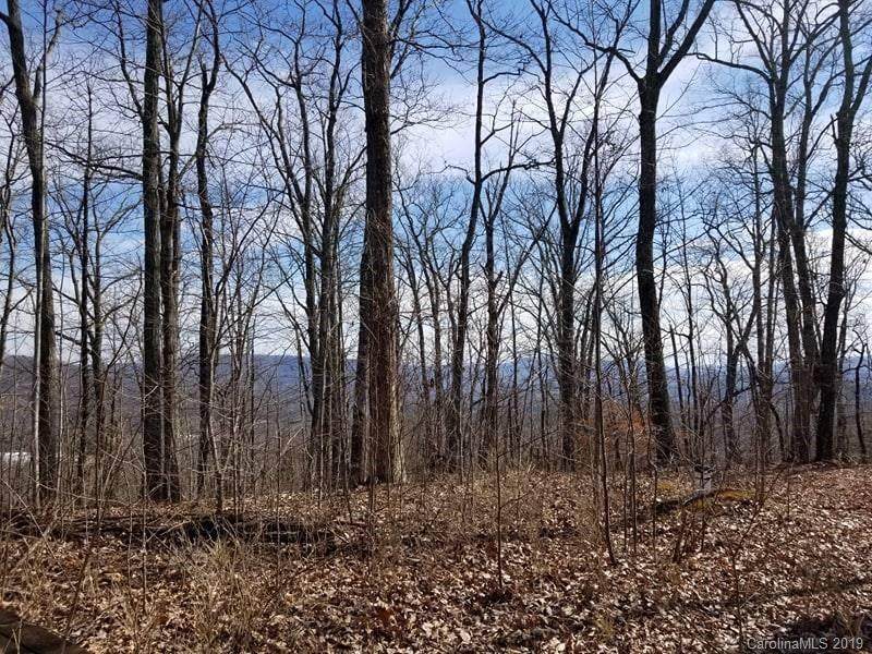 V/L Mountain Crest Drive - Photo 1