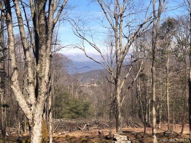 ES18 Eagle Springs Trail - Photo 1