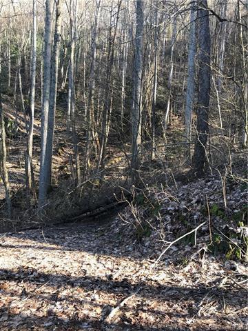 209 Overlook Drive - Photo 1