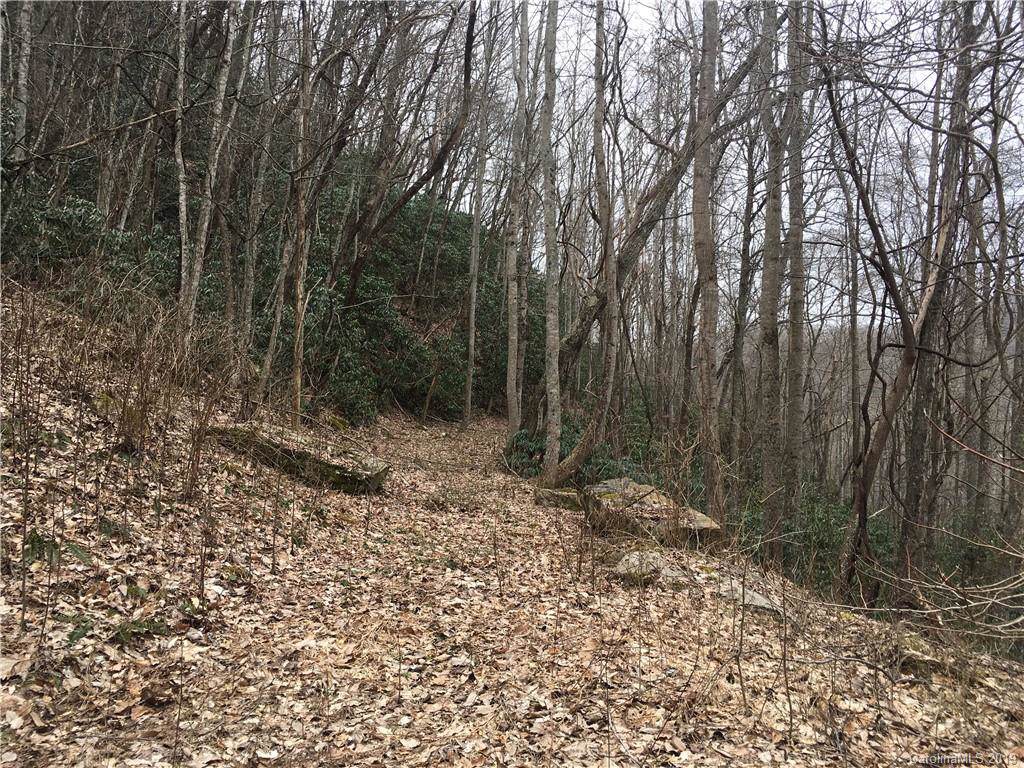 Lot 96 Whispering Woods Path - Photo 1